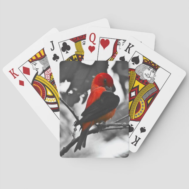 Male Scarlet Tanager Playing Cards (Back)