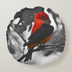 Male Scarlet Tanager Round Cushion