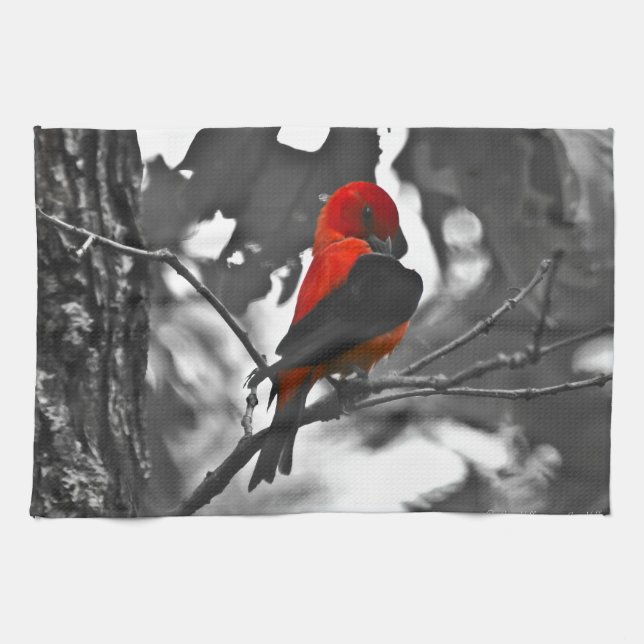 Male Scarlet Tanager Tea Towel (Horizontal)