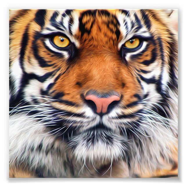 Male Siberian Tiger Paint Photograph (Front)