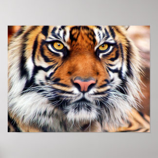 Male Siberian Tiger Paint Photograph Poster