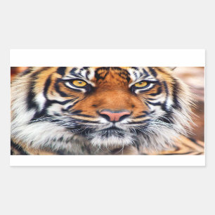 Male Siberian Tiger Paint Photograph Rectangular Sticker