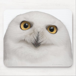 male Snowy Owl (Bubo scandiacus) is a large owl Mouse Mat