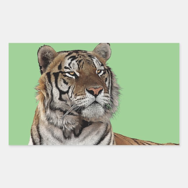 male tiger head animal wildlife nature art rectangular sticker (Front)