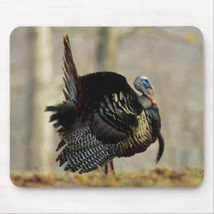 Male turkey strutting, Illinois Mouse Mat