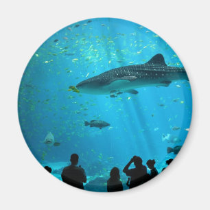 Male Whale Shark at Georgia Aquarium Magnet