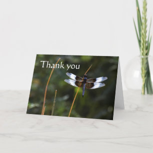 Male Widow Skimmer dragonfly  on a stick, thank yo Thank You Card