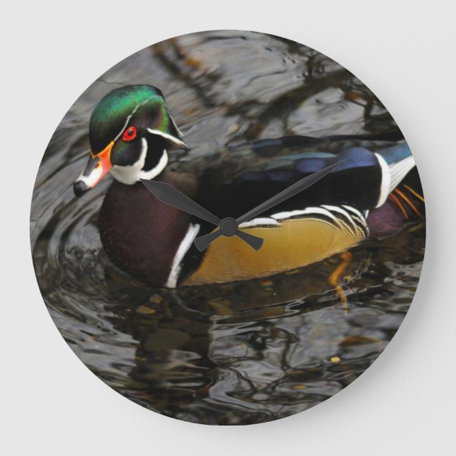 Male Wood Duck At Crystal Springs Rhododendron Large Clock (Front)