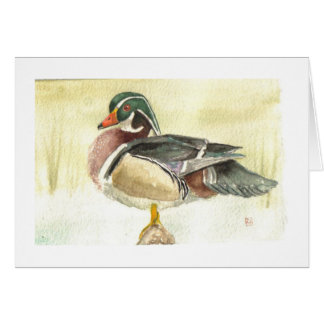 Male Wood Duck Card
