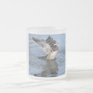 Male Wood Duck Frosted Glass Coffee Mug