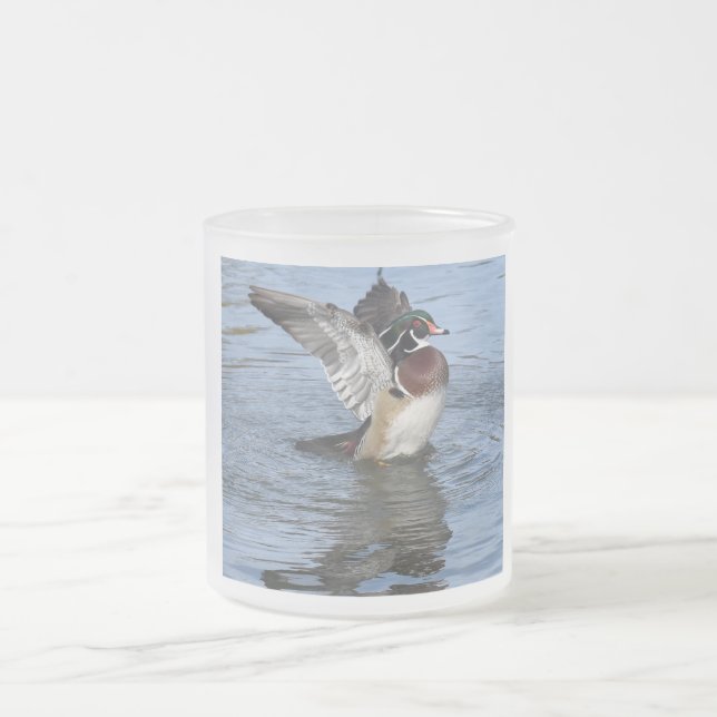 Male Wood Duck Frosted Glass Coffee Mug (Center)