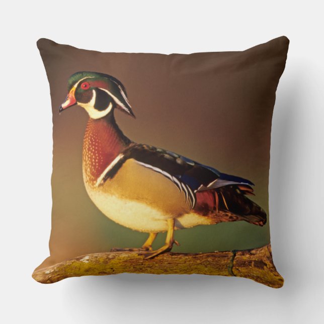 Male wood duck, Illinois Cushion (Front)