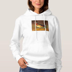 Male wood duck, Illinois Hoodie