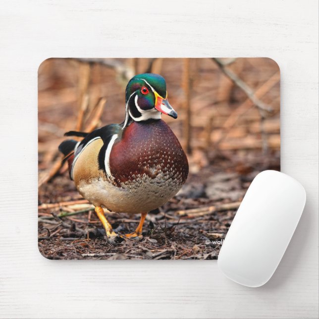 Male Wood Duck in the Woods Mouse Mat (With Mouse)