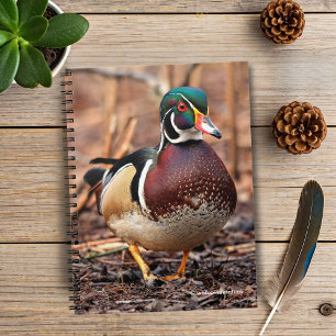 Male Wood Duck in the Woods Notebook
