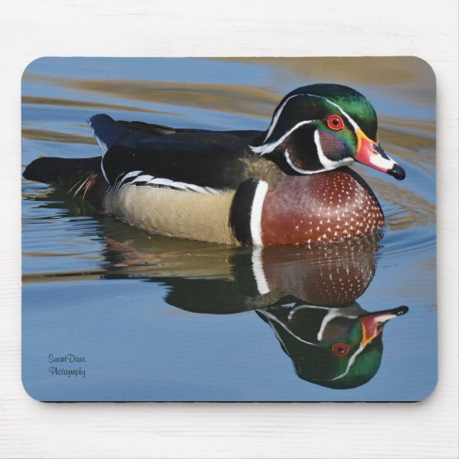 Male Wood Duck Reflection Throw Pillow Mouse Mat (Front)