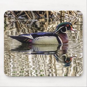 Male wood duck swimming in pond mouse mat