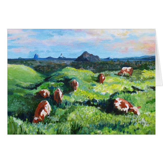 Maleny cows (Front Horizontal)
