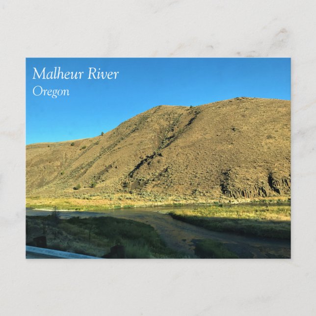 Malheur River, Oregon Postcard (Front)