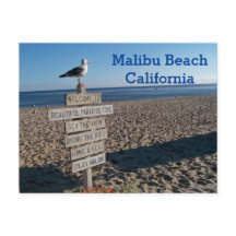 Malibu Beach Postcard- Paradise Cove Seagull Sign