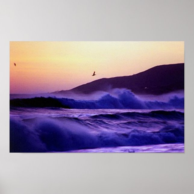 Malibu Beach Poster (Front)