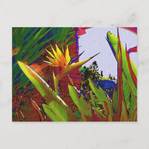 Malibu California Bird-of-paradise Holiday Postcard