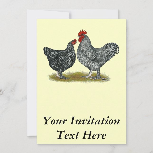 Maline Chickens Invitation (Front)