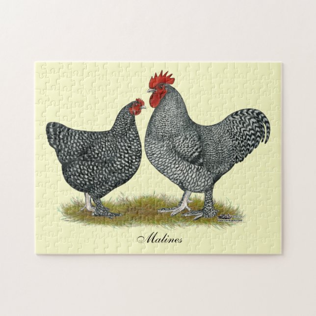 Maline Chickens Jigsaw Puzzle (Horizontal)