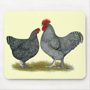 Maline Chickens Mouse Mat
