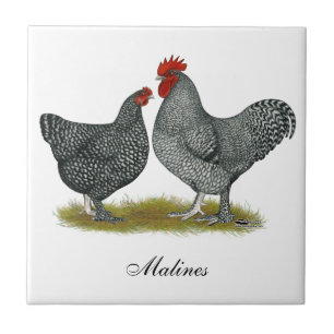 Maline Chickens Tile