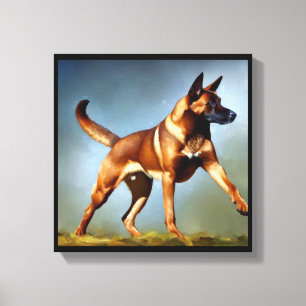 Malinois Belgian Shepherd Dog  Canvas Print