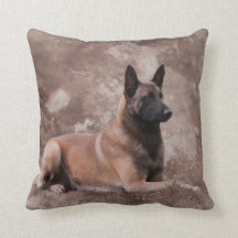 Malinois  Belgian shepherd - Mechelaar