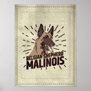Malinois - Belgian shepherd -Mechelaar -Maligator Poster