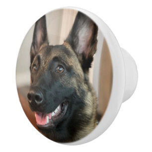 Malinois Dog Ceramic Knob
