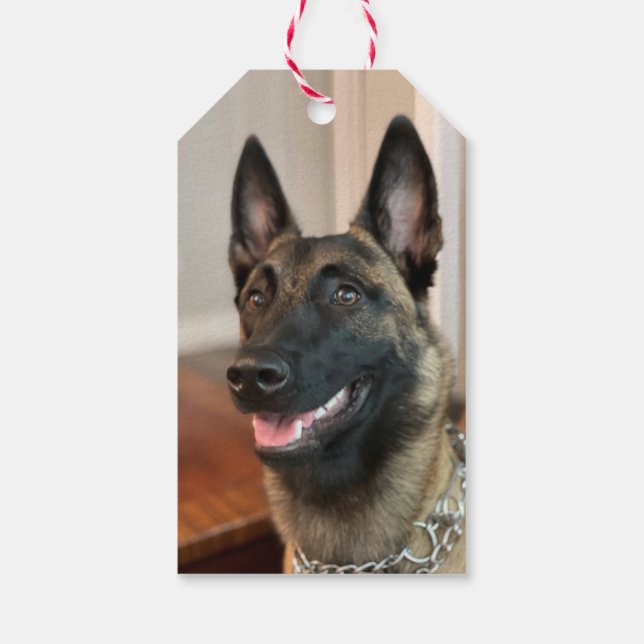 Malinois Dog Gift Tags (Back)