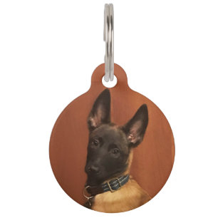 Malinois Dog Pet Tag