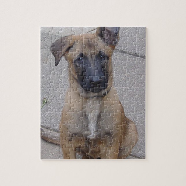 malinois puppy sitting.png jigsaw puzzle (Vertical)