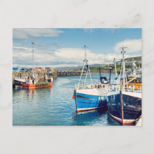 Mallaig Harbour Postcard