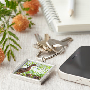 Mallard and Ducklings by Shirley Taylor Key Ring