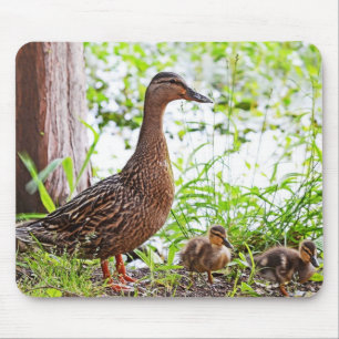 Mallard and Ducklings by Shirley Taylor Mouse Mat