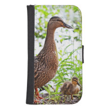 Mallard and Ducklings by Shirley Taylor