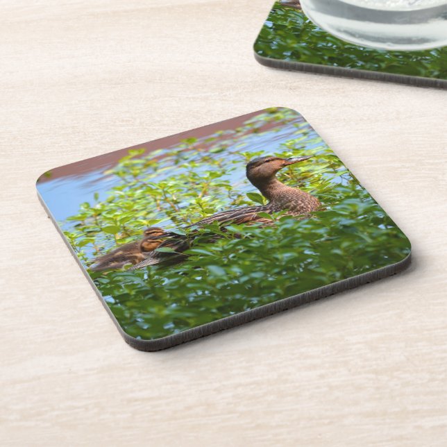 Mallard and Ducklings-Swimming by Shirley Taylor Coaster (Left Side)
