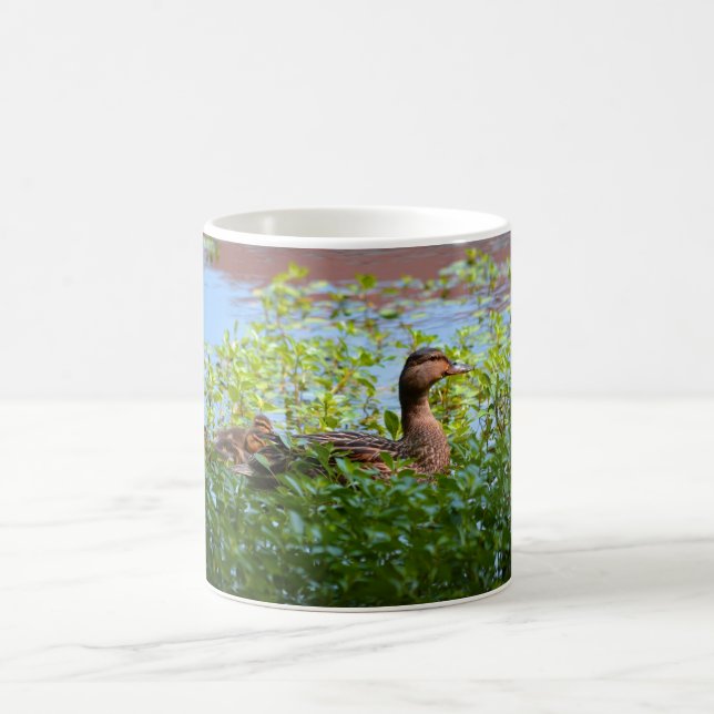 Mallard and Ducklings-Swimming by Shirley Taylor Coffee Mug (Center)