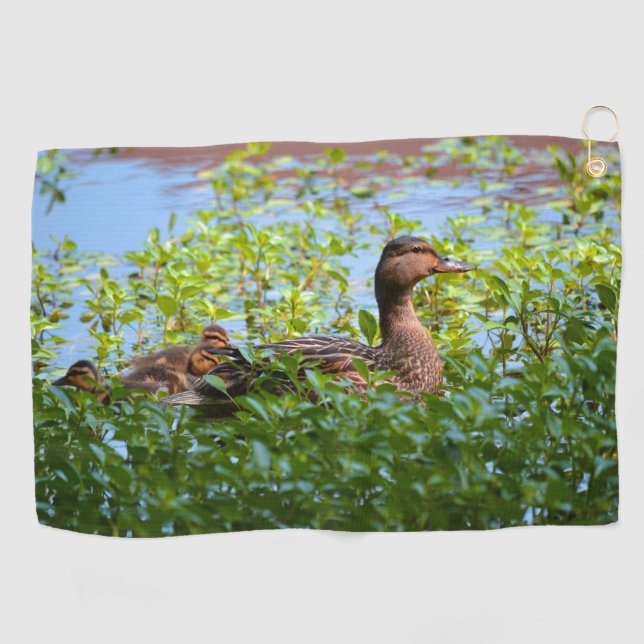 Mallard and Ducklings-Swimming by Shirley Taylor Golf Towel (Horizontal)