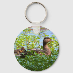 Mallard and Ducklings-Swimming by Shirley Taylor Key Ring