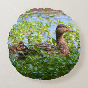 Mallard and Ducklings-Swimming by Shirley Taylor Round Cushion