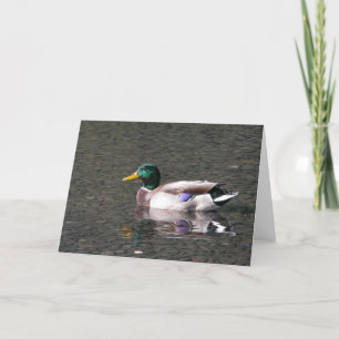 Mallard Card