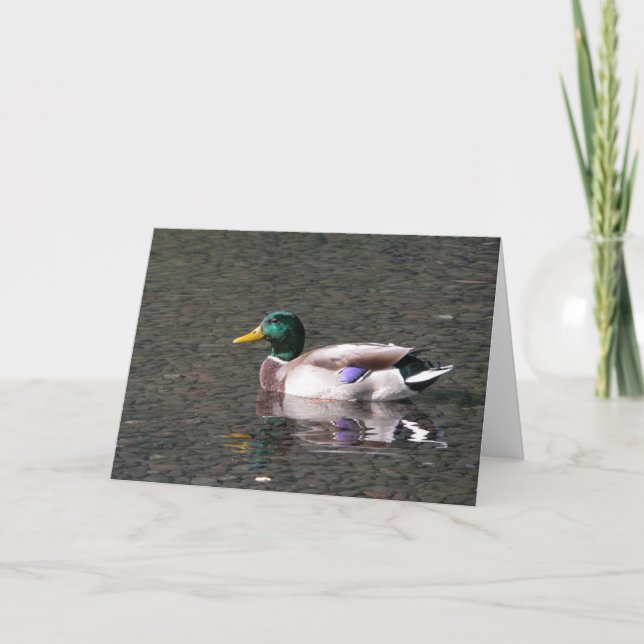 Mallard Card (Front)