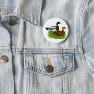 Mallard Drake and Duck 6 Cm Round Badge