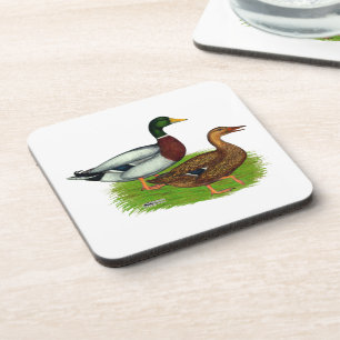 Mallard Drake and Duck Coaster